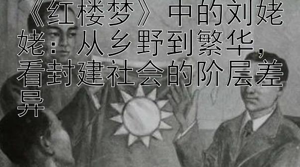 《红楼梦》中的刘姥姥：从乡野到繁华，看封建社会的阶层差异