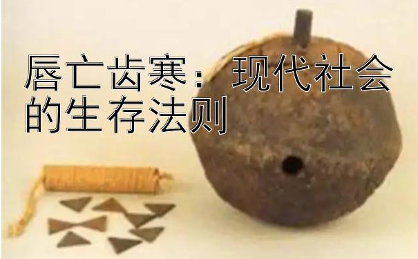 唇亡齿寒：现代社会的生存法则