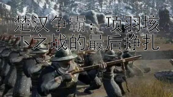 楚汉争霸：项羽垓下之战的最后挣扎