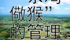 《古训新用：“杀鸡儆猴”的管理智慧》