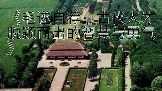 《毛遂自荐：古代人才脱颖而出的智慧与勇气》