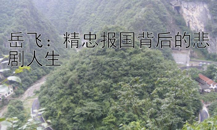 岳飞：精忠报国背后的悲剧人生