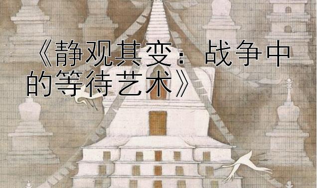 《静观其变：战争中的等待艺术》