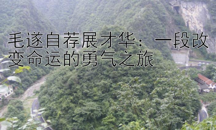 毛遂自荐展才华：一段改变命运的勇气之旅