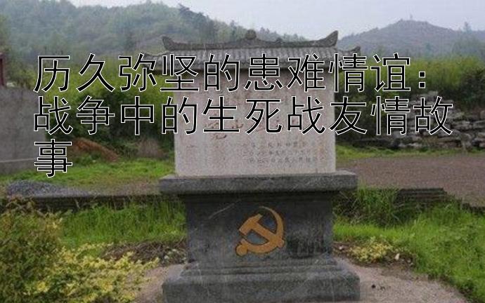 历久弥坚的患难情谊：战争中的生死战友情故事